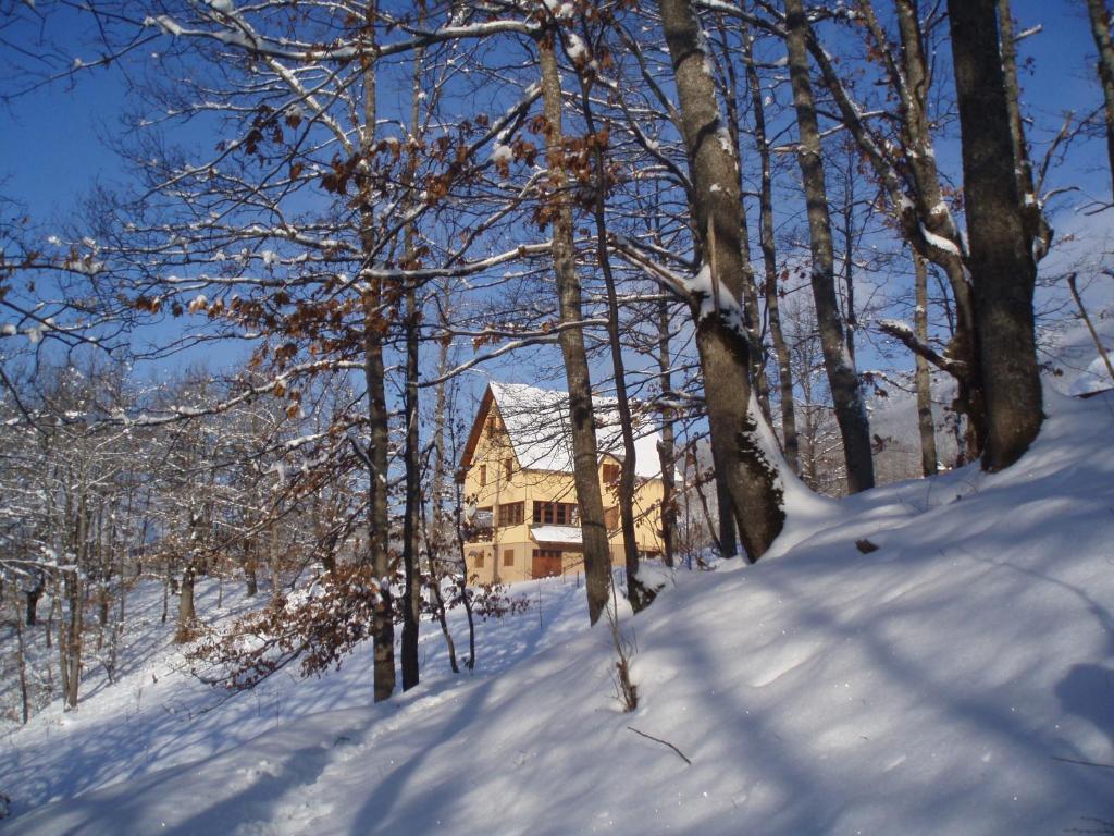 Guest House Tara Canyon photo 2