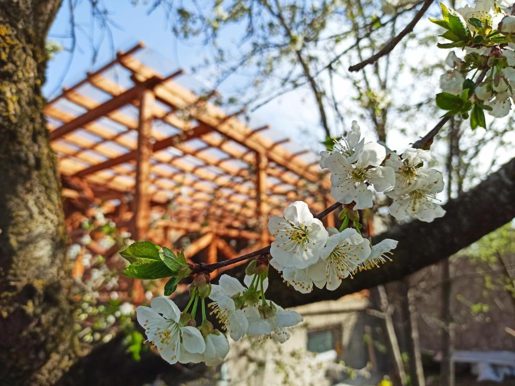 Jermatun Guest House photo 4
