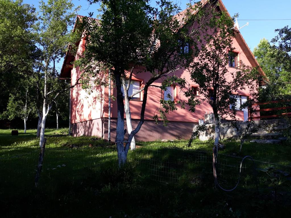 Biljevina photo 2