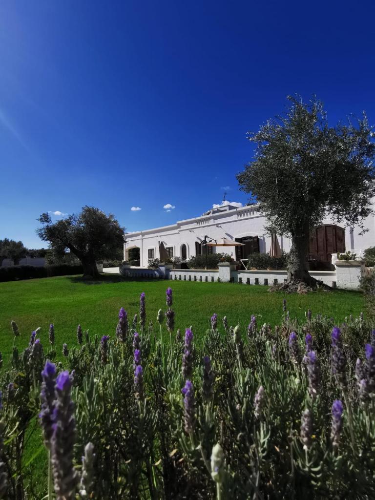 Masseria Bianca di Puglia