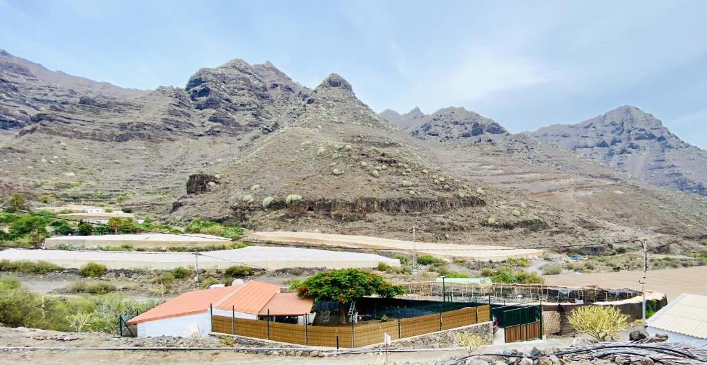 2 bedrooms house with sea view enclosed garden and wifi at Tasartico 4 km away from the beach photo 3