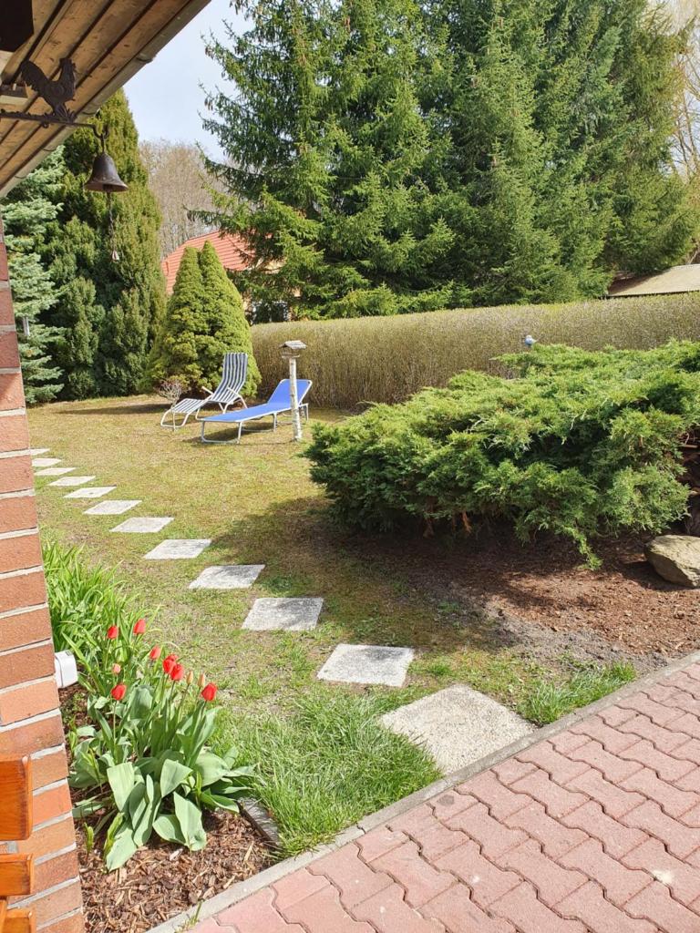 Ferienhaus am Schwielochsee photo 4
