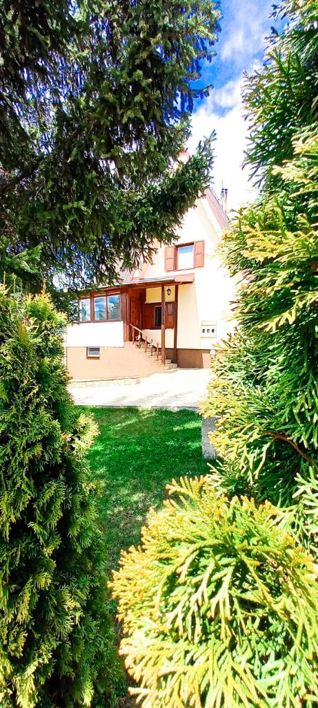 Apartment Relja photo 1