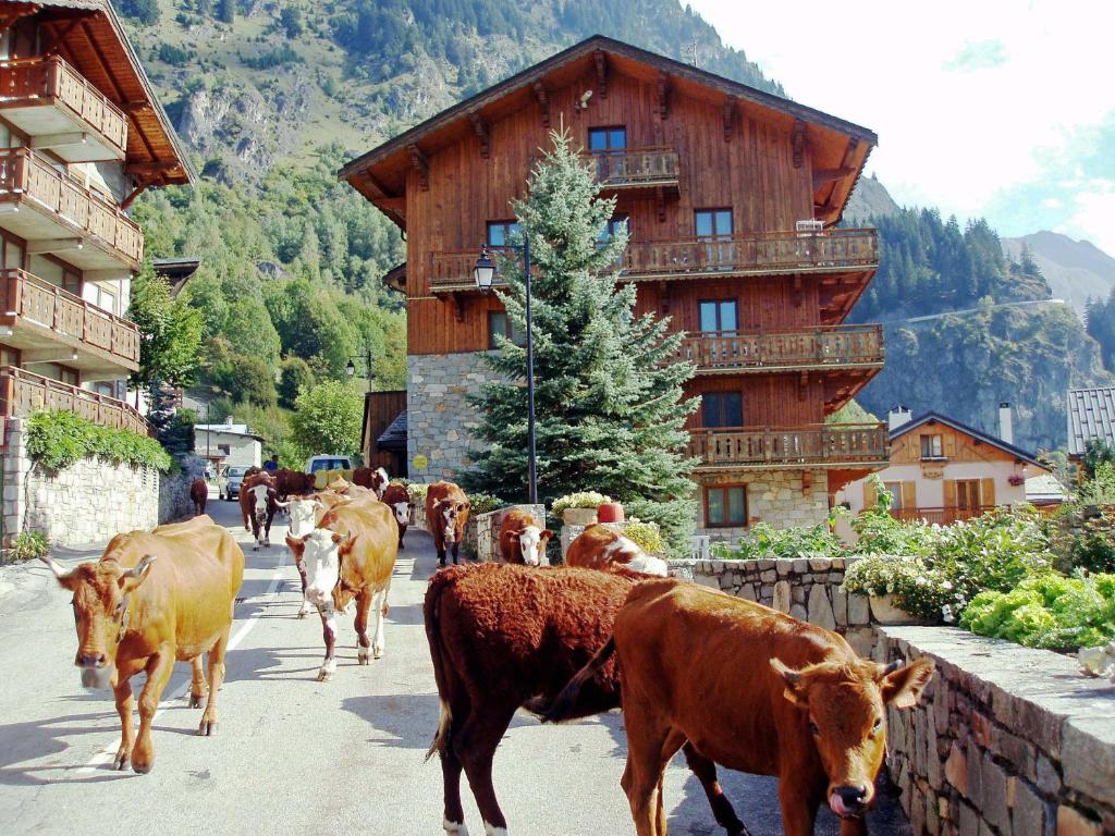 Chalet Bouquetin- Chamois 8 to 11 people photo 1