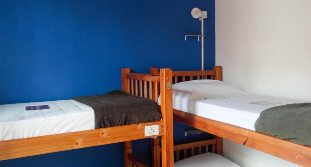 POA Eco Hostel photo 2