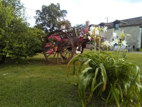 Gîte la mirabelle photo 4
