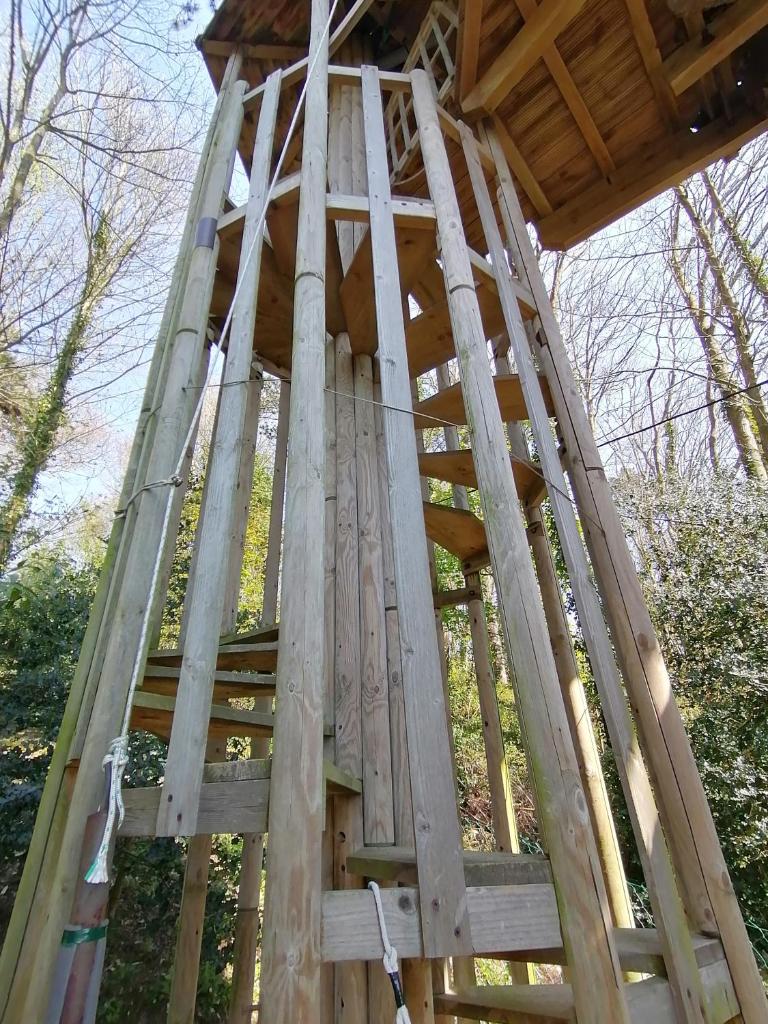SHERWOOD TREE photo 3