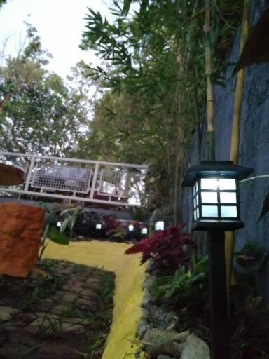 Purple Orchid Bed and Breakfast photo 4