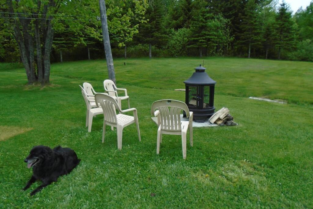 L'OASIS DU MASSIF - Spa, BBQ, foyer et plaisir ! photo 1