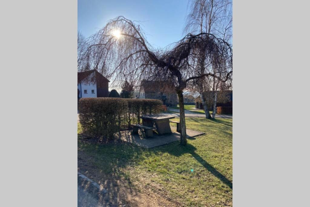 Chez Pèpère, gîte charmant et tranquille photo 1