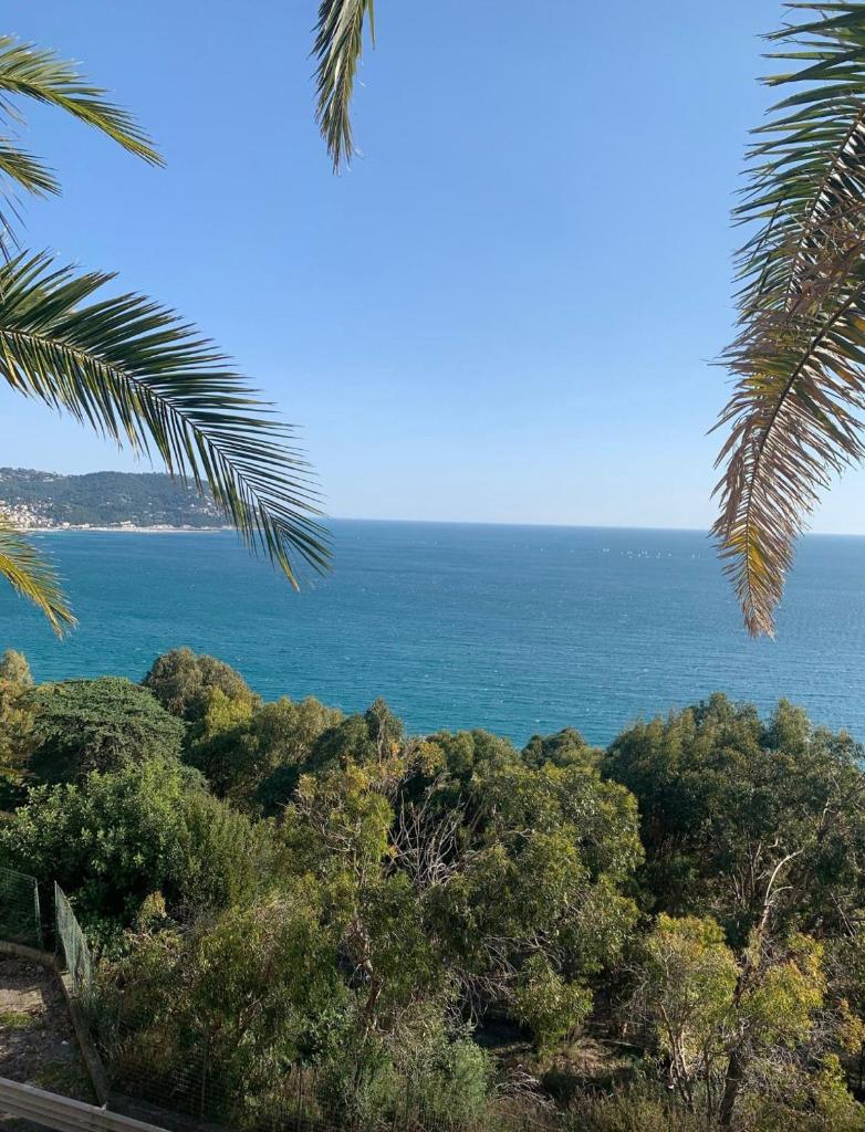 Bellissima Cervo photo 1