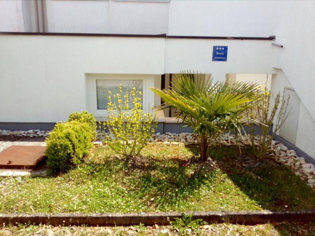 Apartment Mato photo 1