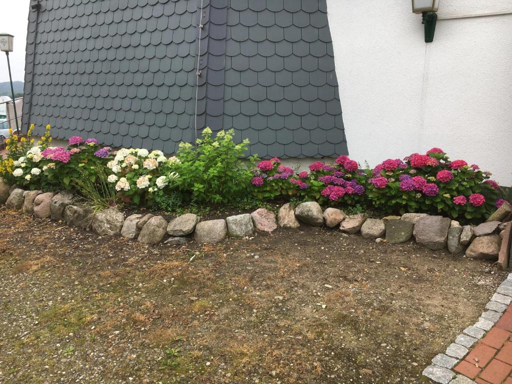 Landgasthof Waabs Mühle photo 3