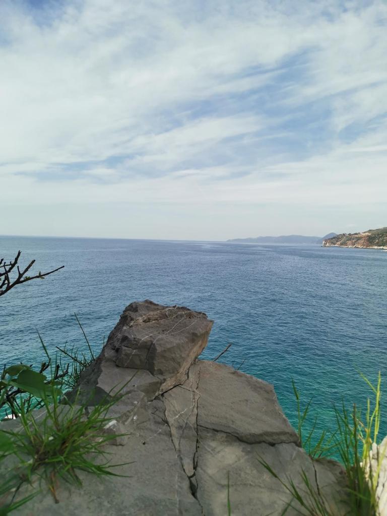 Guest House Radulovic photo 4