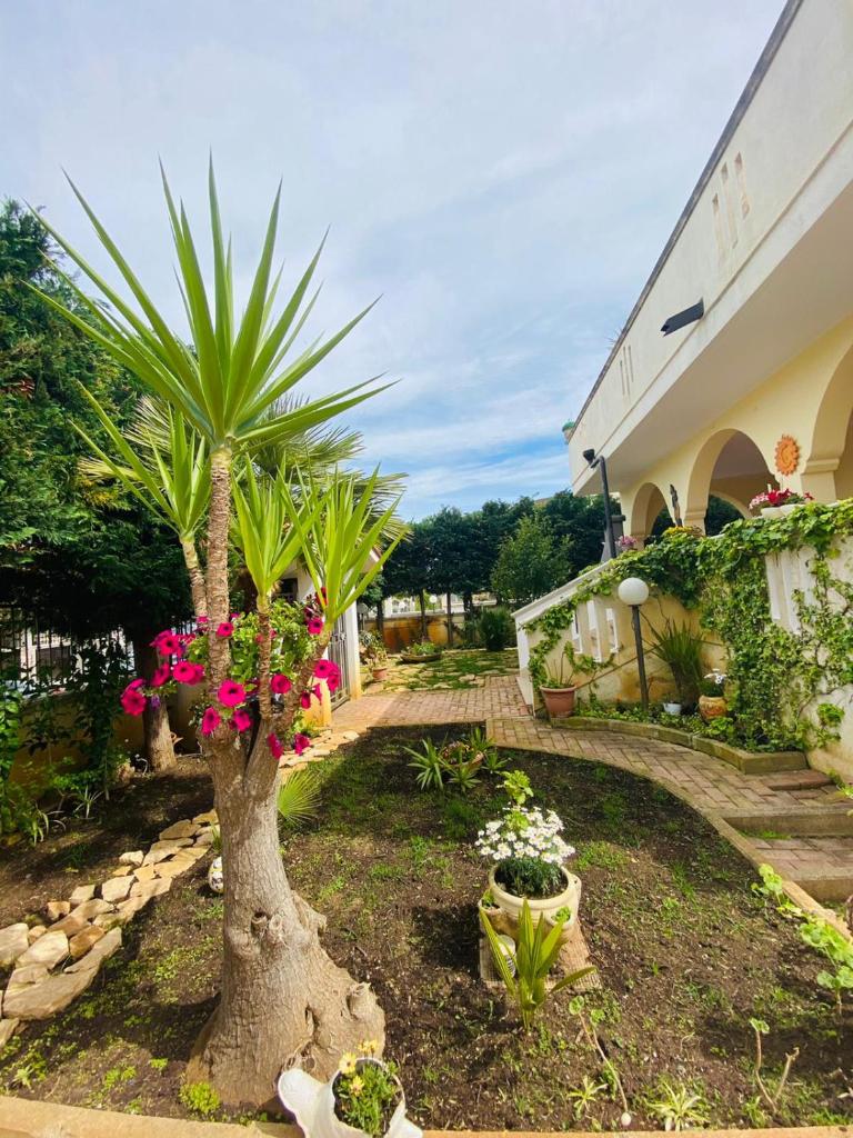 Villa Teresa photo 1