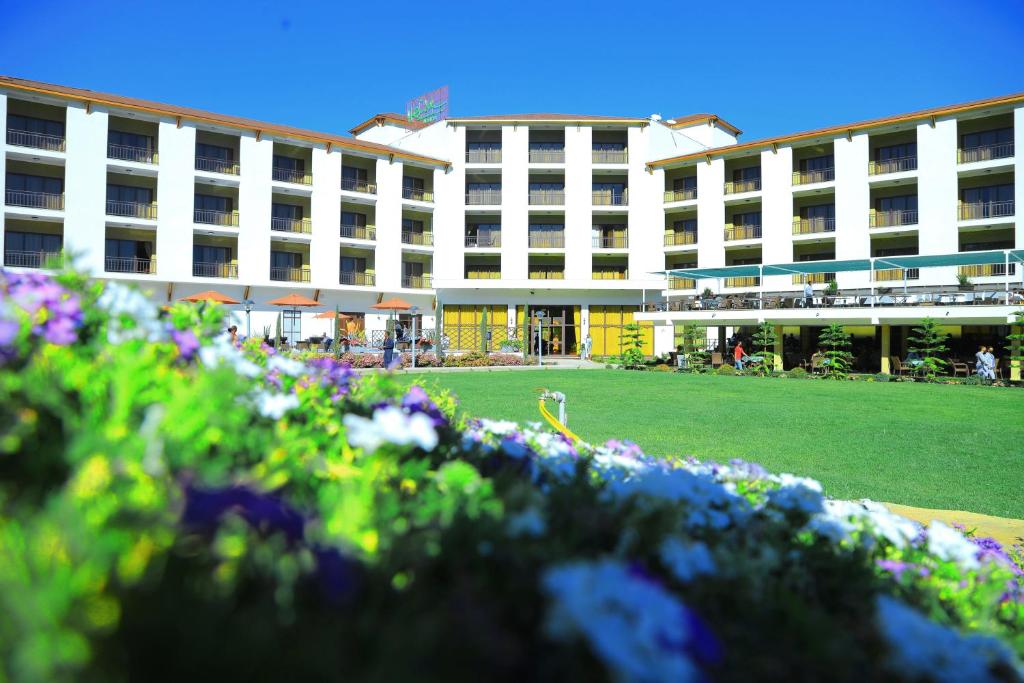 Haile Resort Adama photo 3