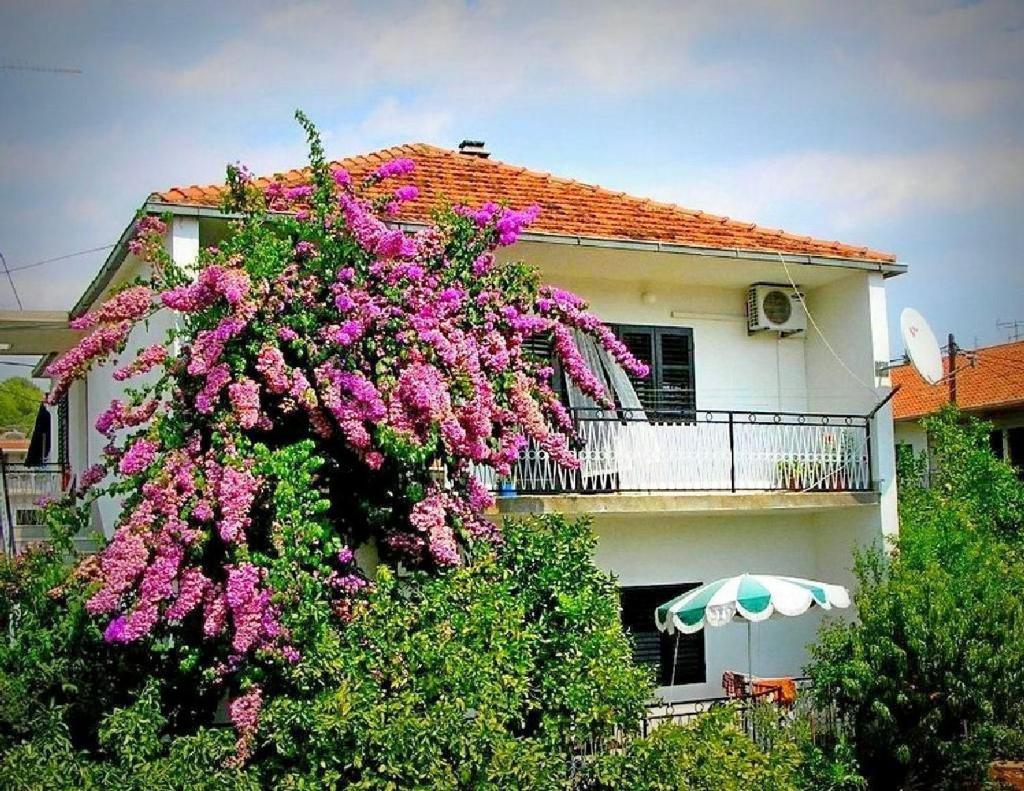 Apartments Marko