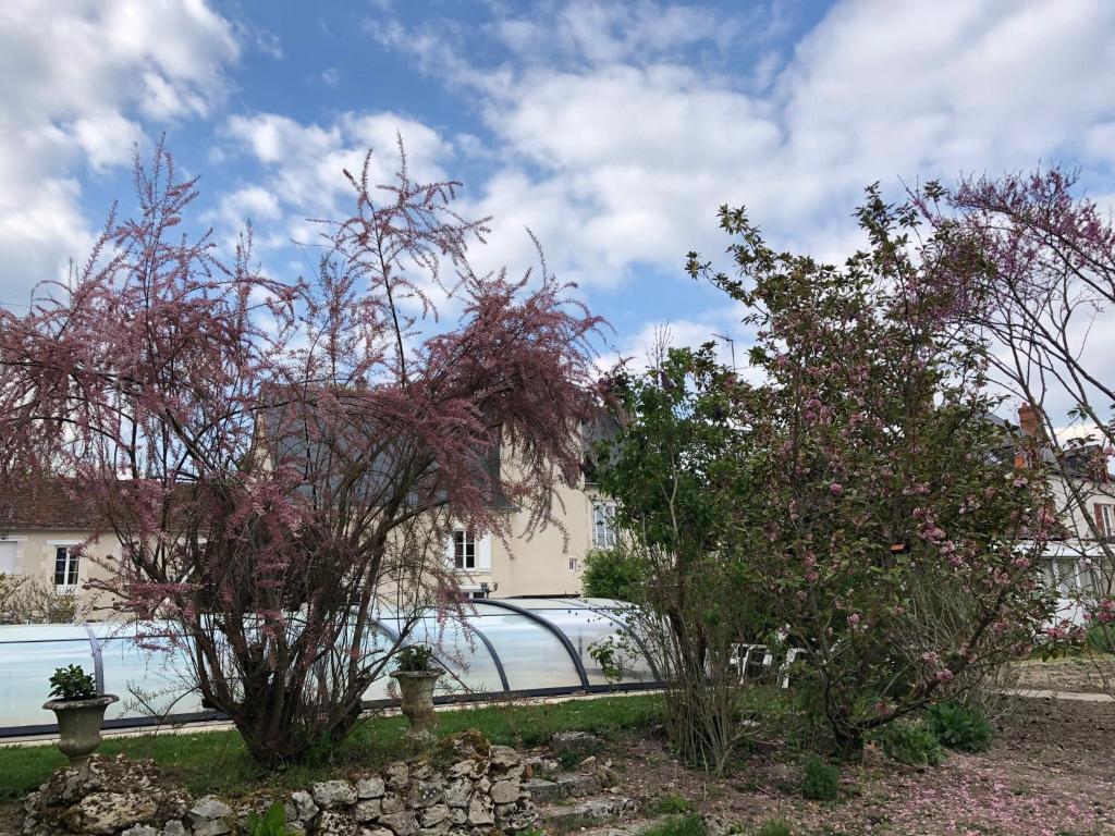 Manoir le Bout du Pont photo 2