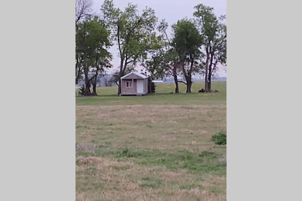 Tiny Cabin at the DonkeyRanch photo 1