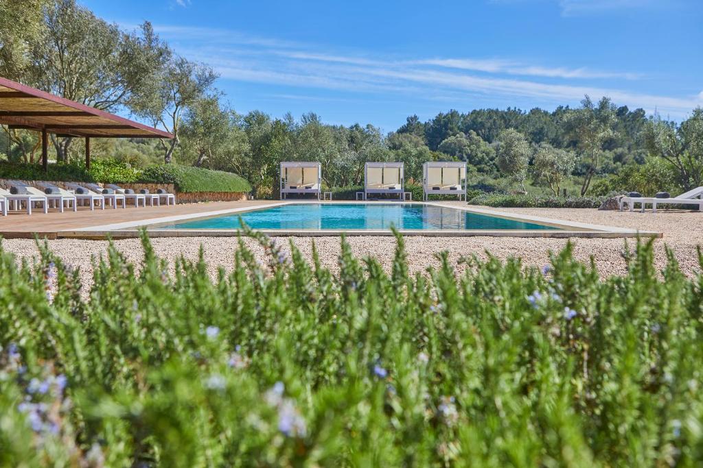 Son Penya Adults Only Petit Hotel & Spa photo 4