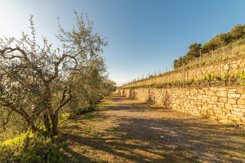 Casetta Marì immersa in un vigneto photo 2
