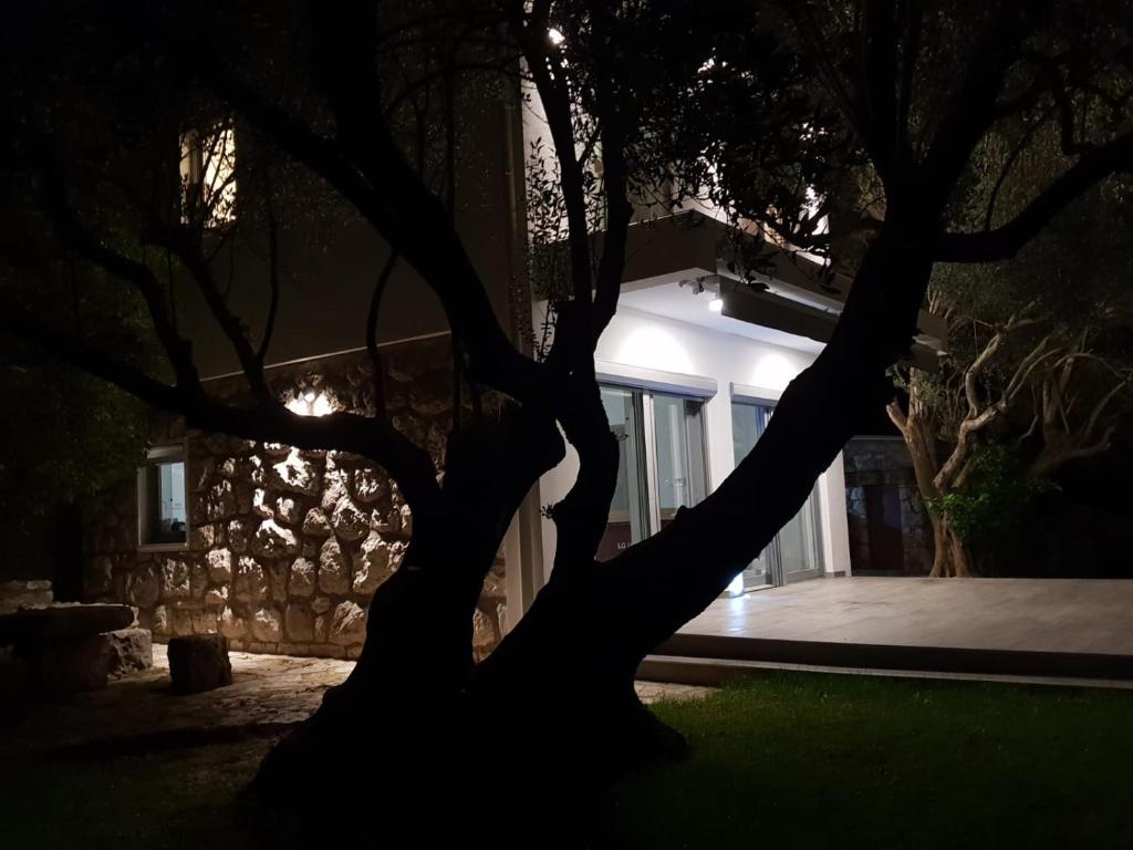 Beautiful house/villa Arboretum photo 3