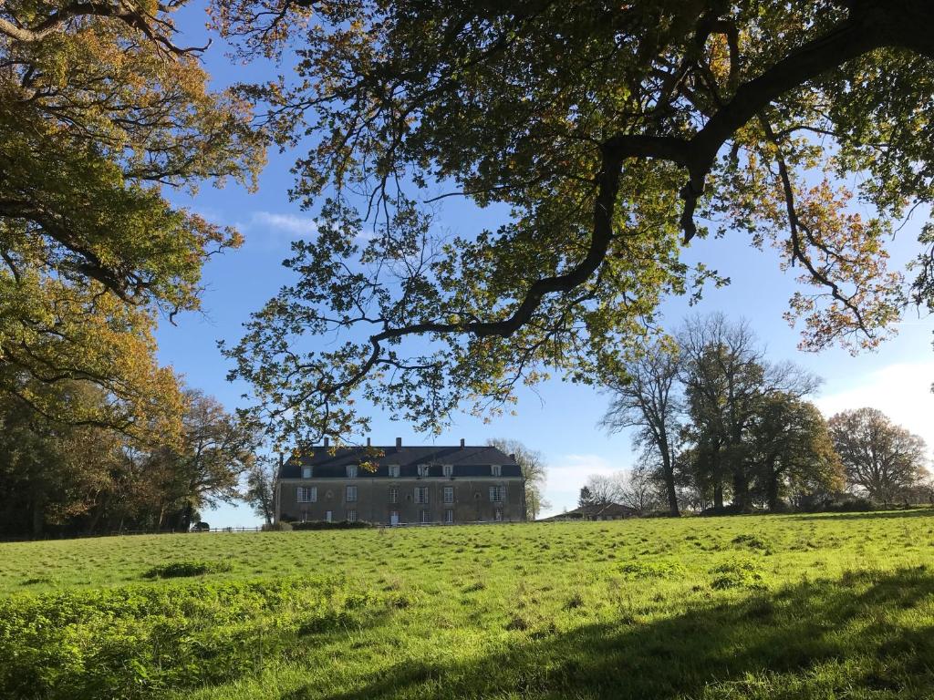 Chateau De Piedouault photo 2