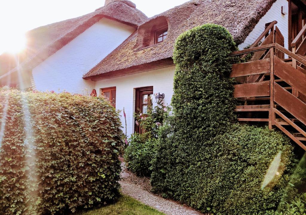 Ferienhaus Ebbe und Flut, Terrassen-Whg photo 3