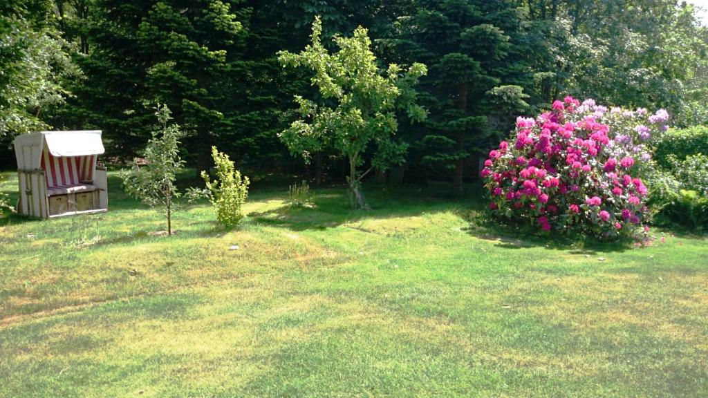 Ferienhaus Ebbe und Flut, Terrassen-Whg photo 4