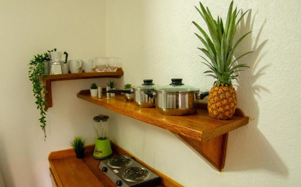 El jardín del coco, apartamento 14 - near La Playita beach photo 4