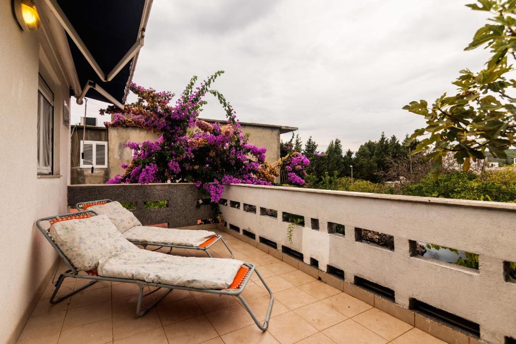 House Anima Mia photo 1
