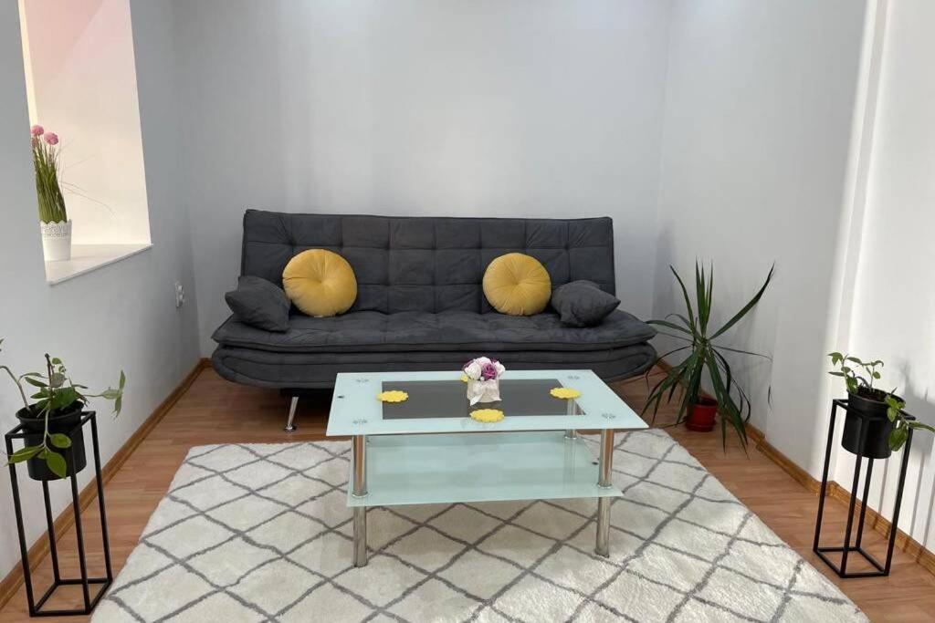 Apartament Cristina - Băile 1 Mai, Felix, Bihor, reducere jumătate intrare Aquapark President photo 1