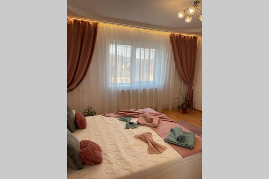 Apartament Cristina - Băile 1 Mai, Felix, Bihor, reducere jumătate intrare Aquapark President photo 3