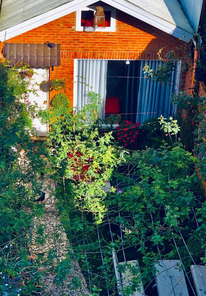 Rose House