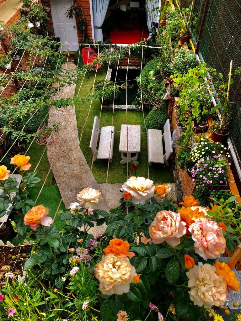 Rose House