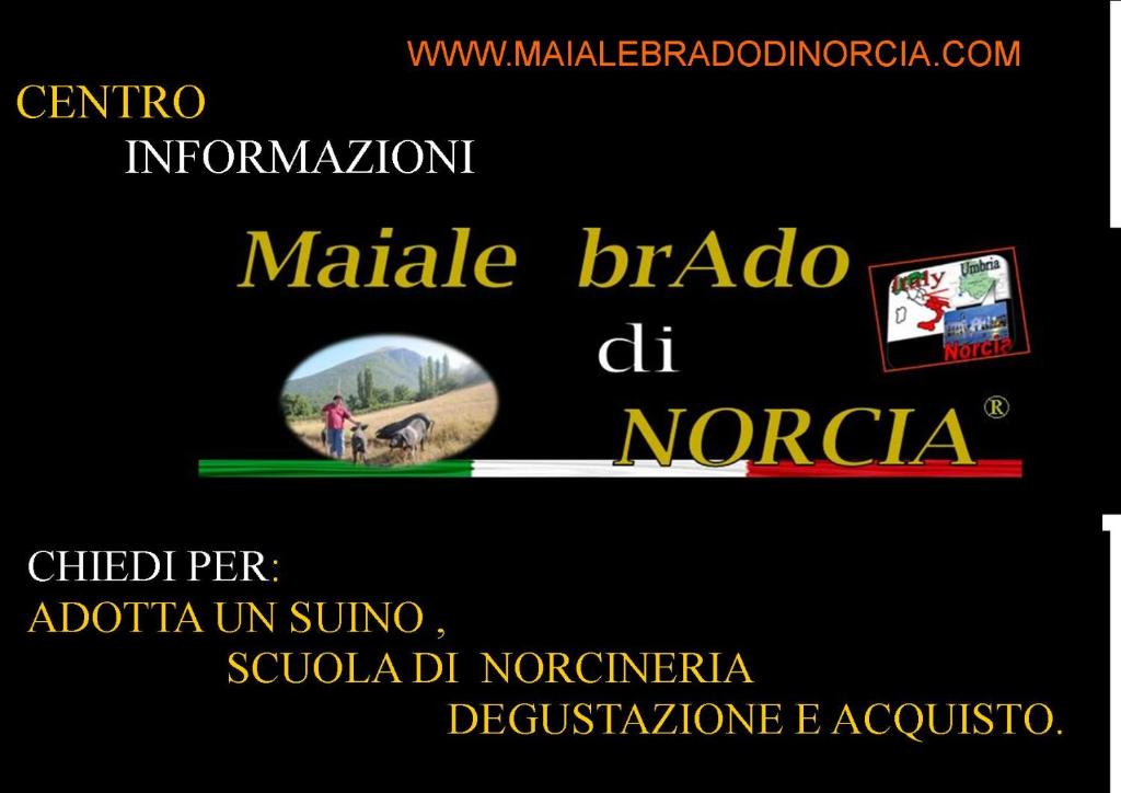 Resort la dimora Maiale brado di Norcia photo 1