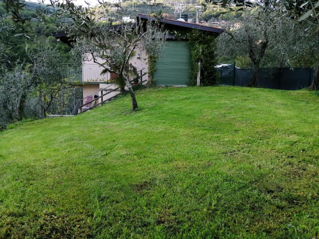 Casetta delle olive photo 3