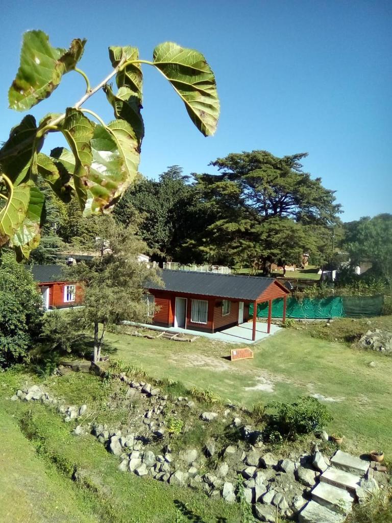 Cabañas los Plátanos