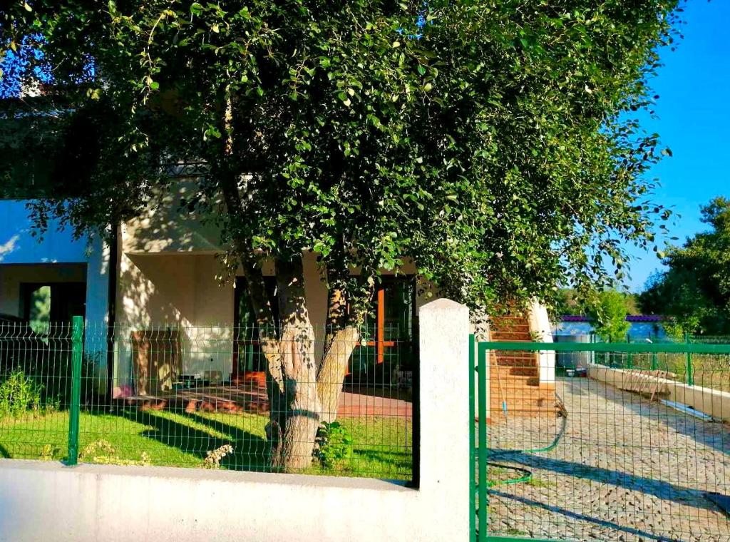 Villa Oasis етаж1 photo 1