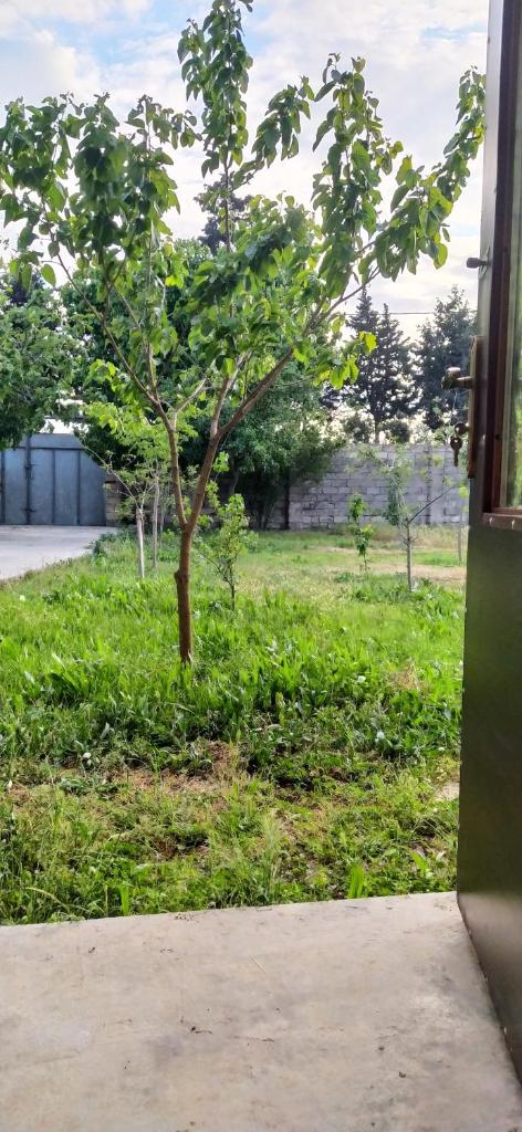 Guest house near Baku airport photo 3