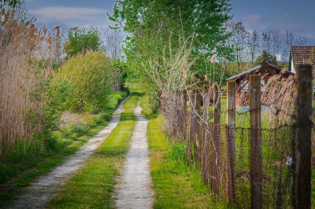 Etno Salaš - Etno Ranch - Seosko Turističko Domaćinstvo photo 3