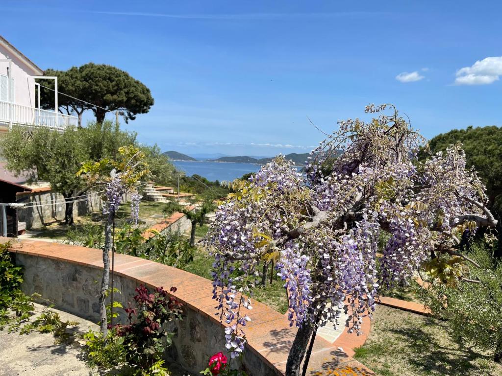 Villa Il Roseto Redinoce photo 1