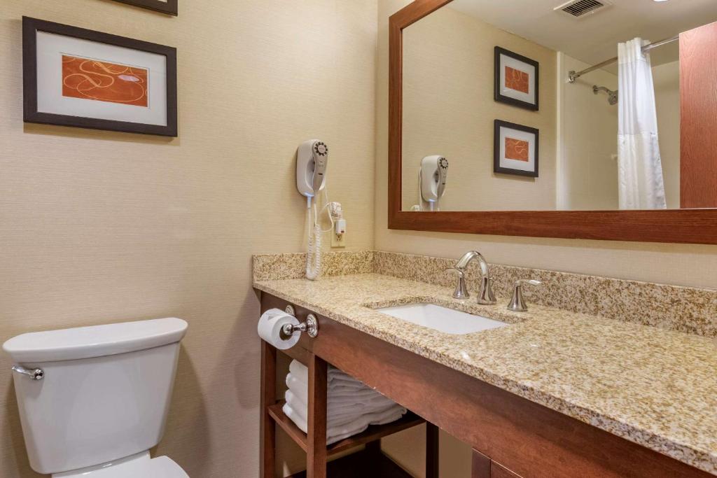 Comfort Suites Downtown Carlisle photo 3