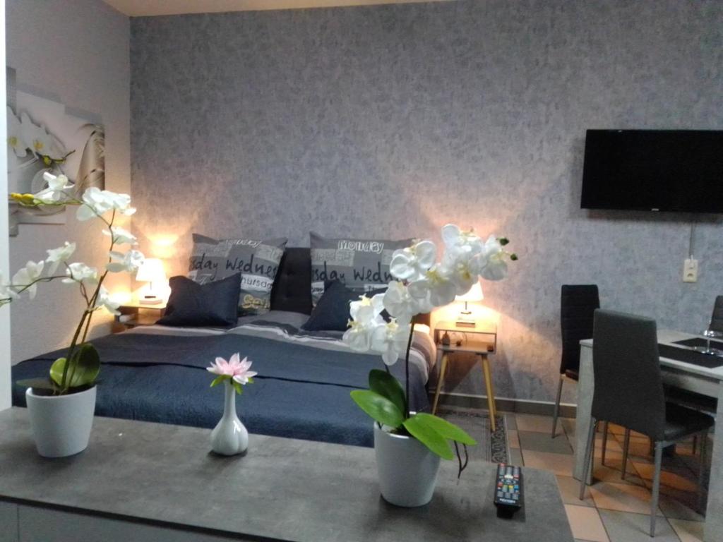 Orchideen Zimmer photo 2