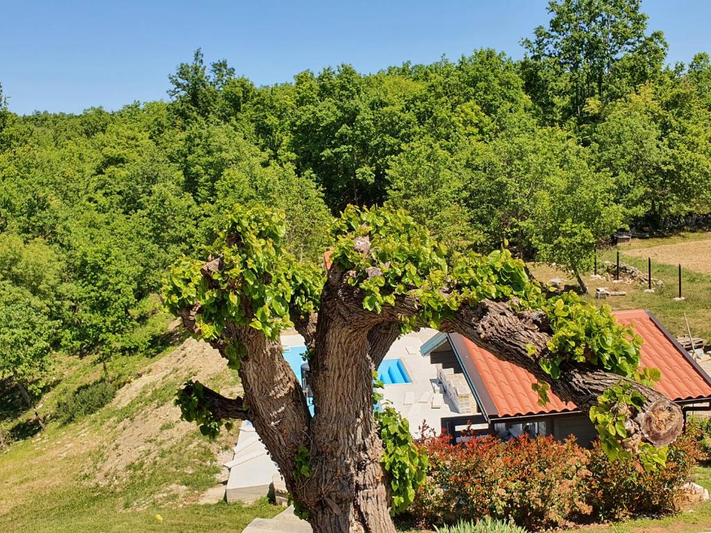 Casa dei Boscarini photo 4