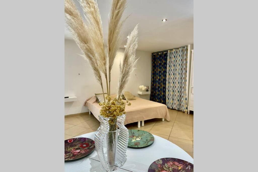 Appartement avec jardin -alentours Ajaccio centre photo 4