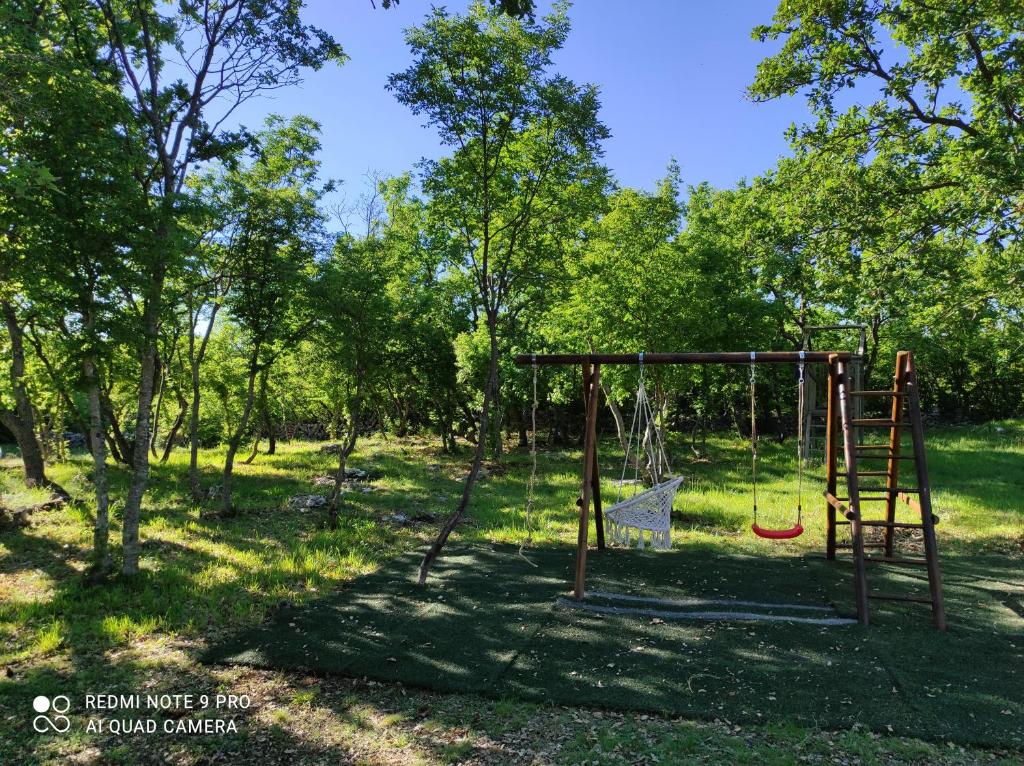Zen Promona photo 4