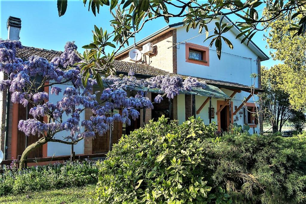 B&B La mia Oasi photo 4