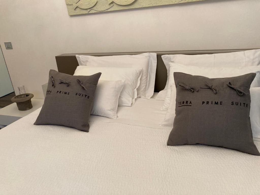 Terra Prime Suite photo 2