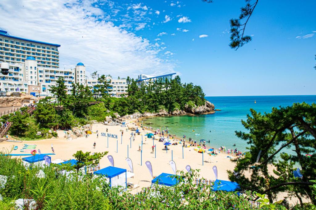 Sol Beach Samcheok photo 4